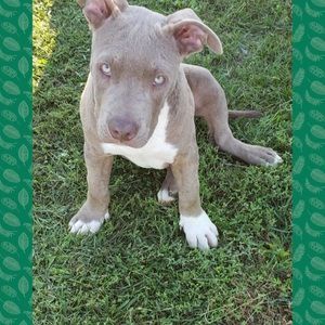 Meet your Posher, Nicki